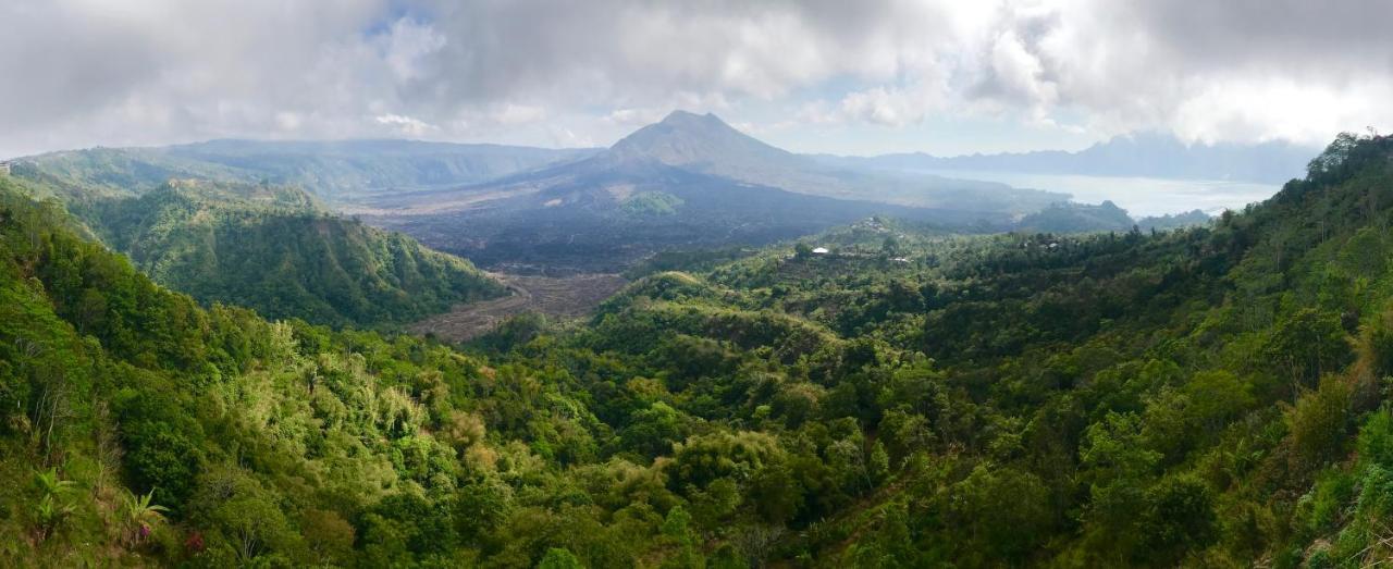 Alami Villa Ubud Buitenkant foto